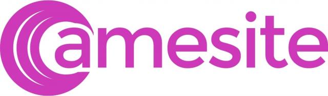 Amesite