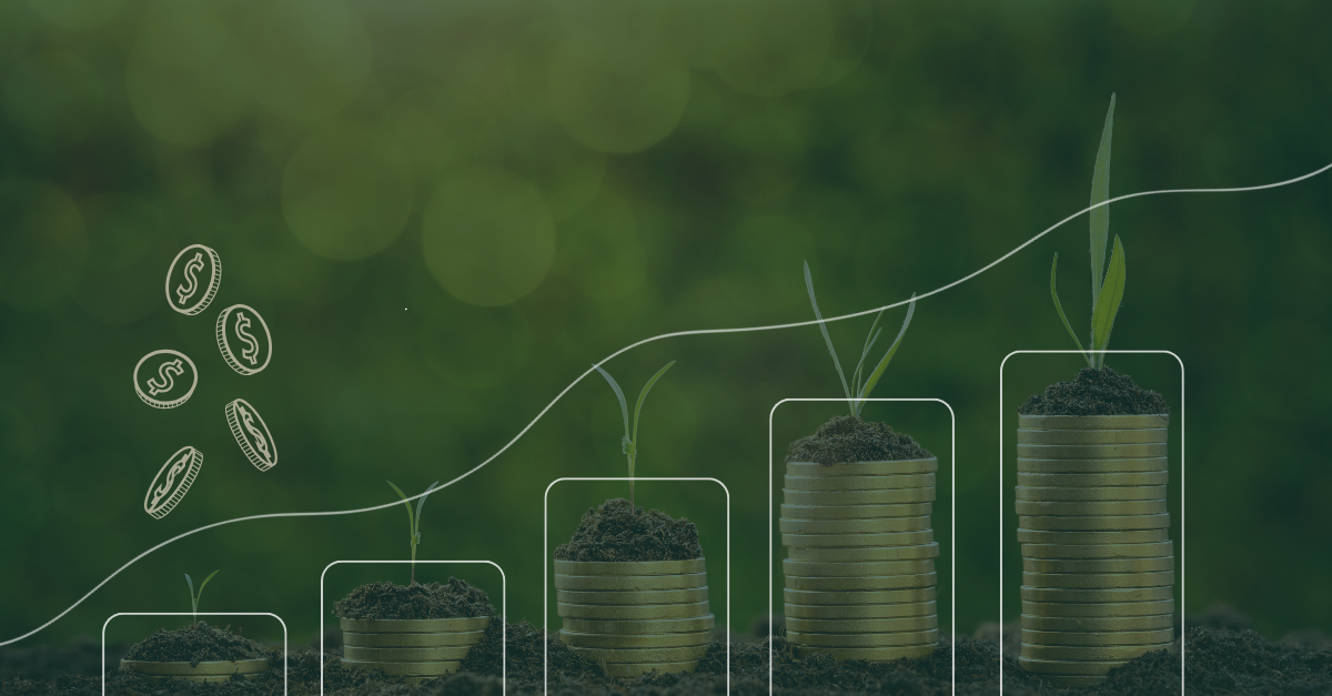 5 Reasons Why Companies Are Investing in...