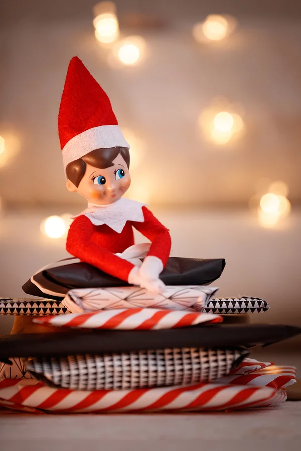 Santa and His Elves: DISC in the North P...