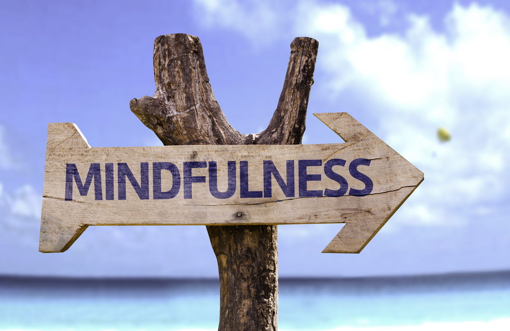 Are You Using Your Style to Maximize the...
