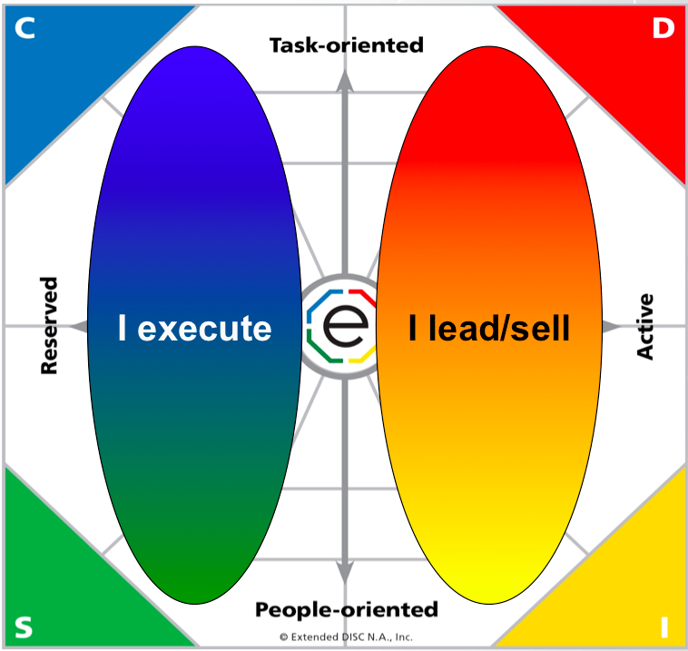 DISC Profiles: 6 Basic Profile Types