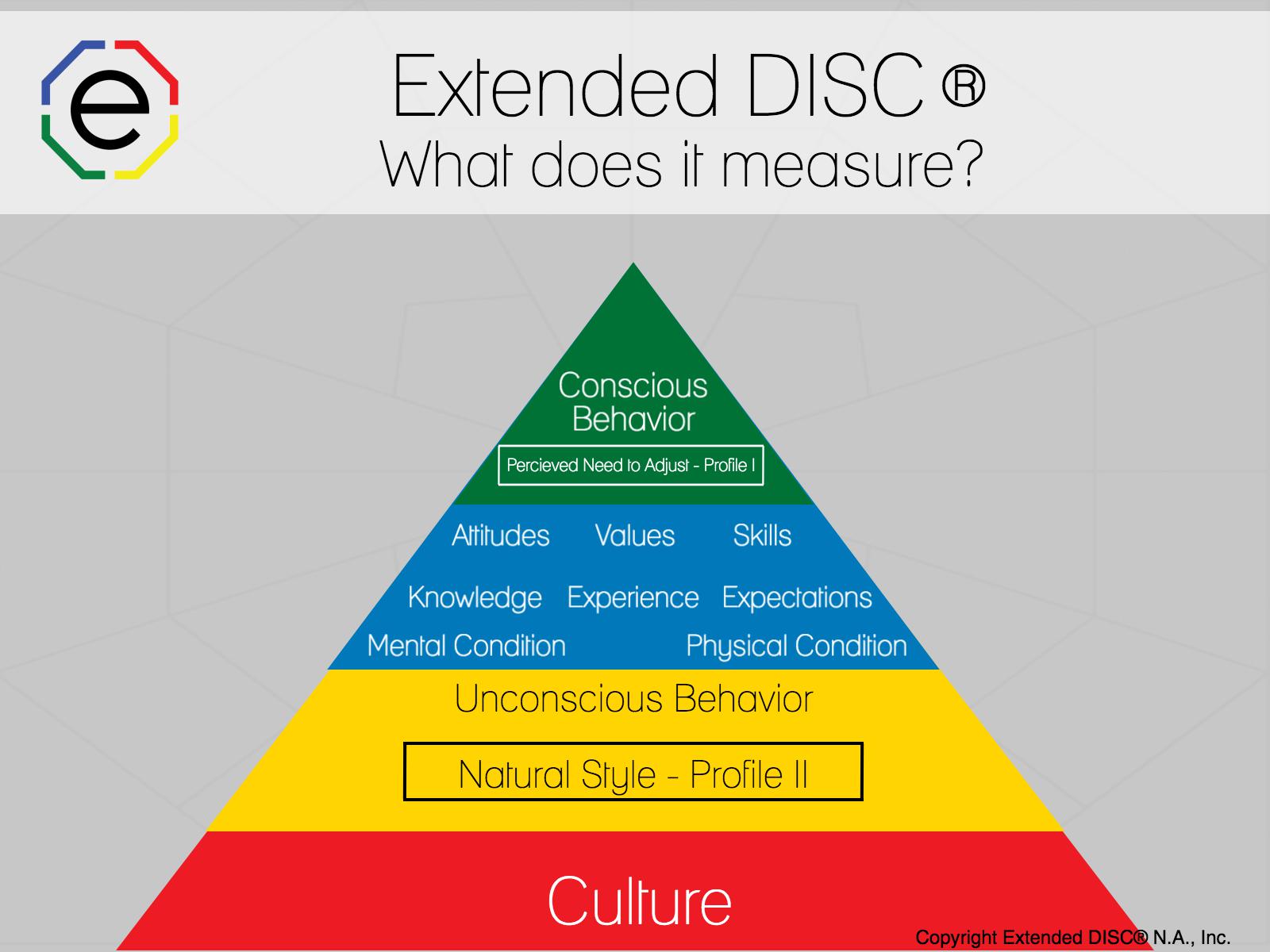 Extended DISC: What Does it Measure?